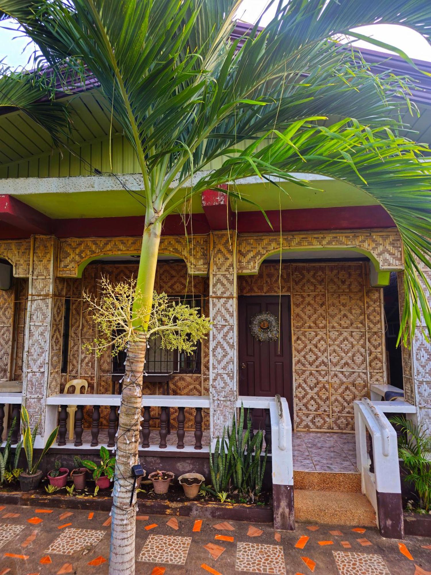 Bohol Sea Breeze And Tawala (Panglao)